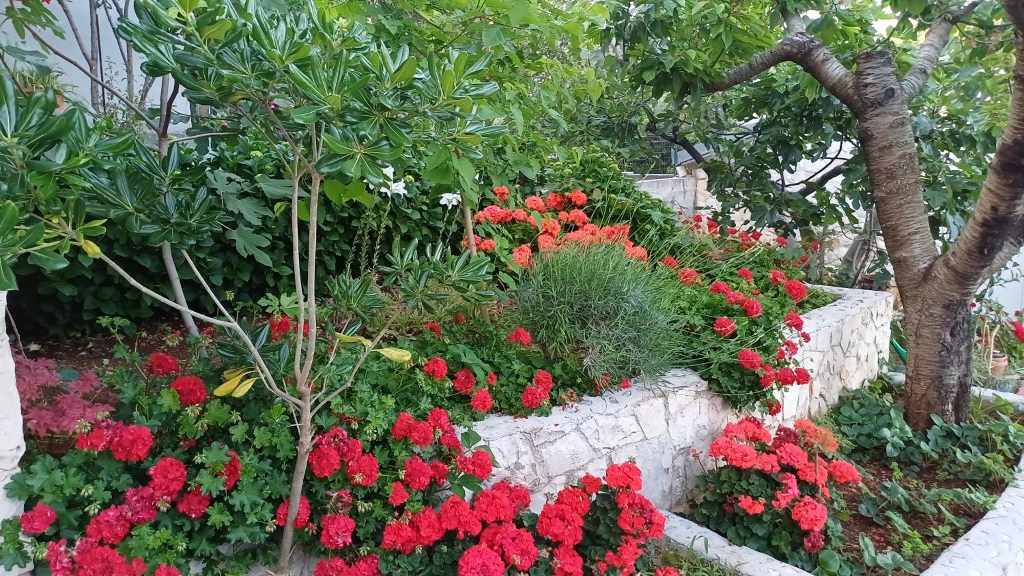 Apartments Jaksic Trogir Extérieur photo